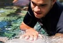 Shark & Stingray Encounter at Ocean World